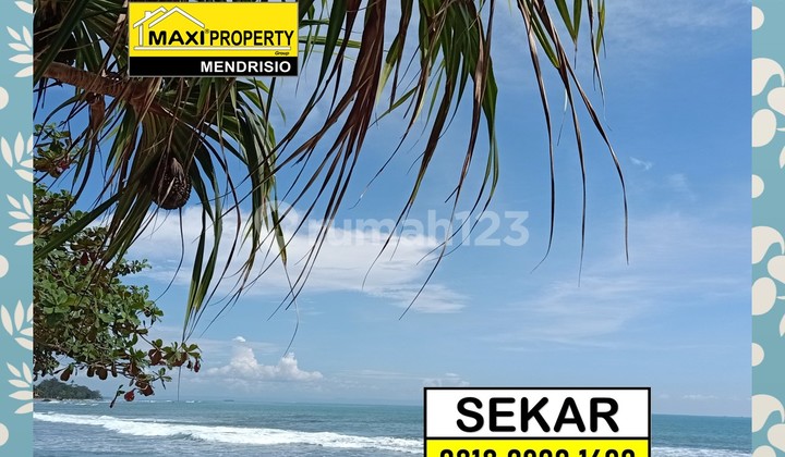 Kavling Carita Terbaik Buat Dibangun Resort Mewah Bintang 5 3