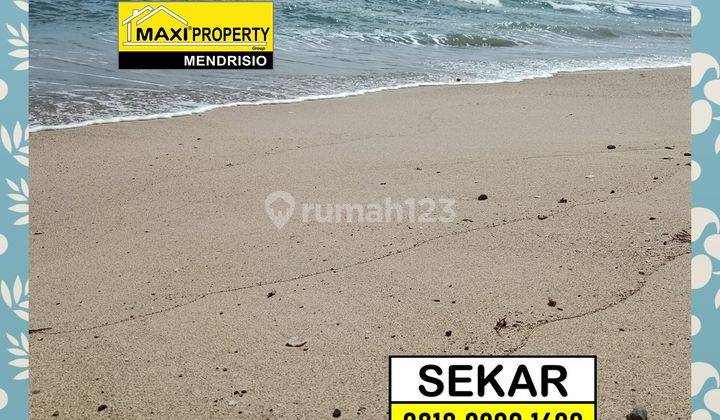 Kavling Carita Terbaik Buat Dibangun Resort Mewah Bintang 5 4