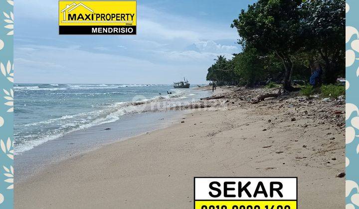 Kavling Carita Terbaik Buat Dibangun Resort Mewah Bintang 5 5