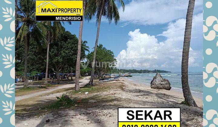 Tanah Pantai Carita Anyer Untuk Bangun Hotel Dan Resort Bintang 5 6