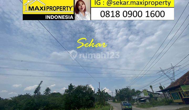 Kavling Komersial Murah di Maja Lebak Banten Cocok Buat Restauran 2