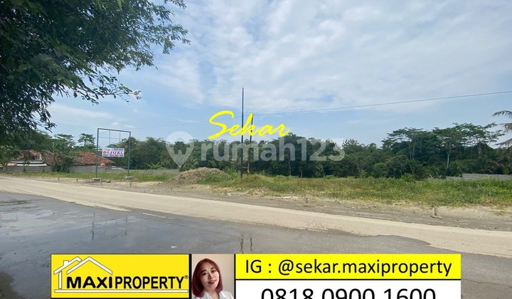 Sale By Sekar Emanuell Tanah Komersial Maja Dekat Stasiun Maja 2