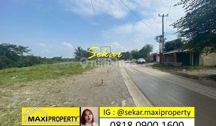 Sale By Sekar Emanuell Tanah Komersial Maja Dekat Stasiun Maja 1