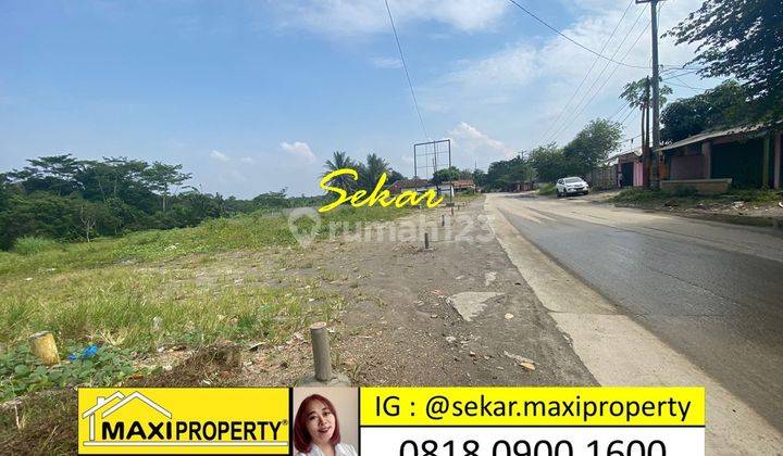 Sale By Sekar Emanuell Tanah Komersial Maja Dekat Stasiun Maja 8