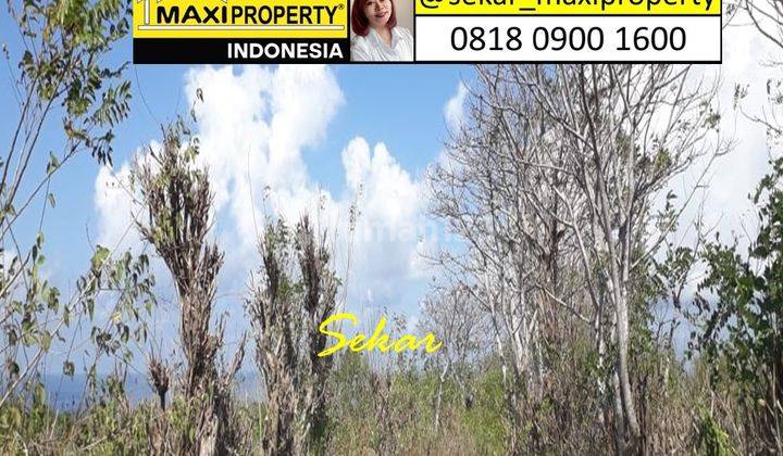 For Buyer Only For Sale Tanah Buat Bangun Hotel Di Kutuh Bali 1