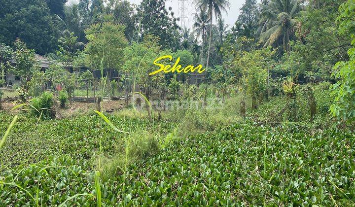 Tanah Muncul Setu Tangerang Selatan Pinggir Jalan Raya Buat Resto 2