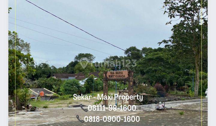 Tanah Berbukit di Rangkasbitung Cocok Buat Developer Bangun Rumah 5