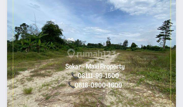 Tanah Maja Raya Zona Industri Harga Masih Murah Investasi Now 6