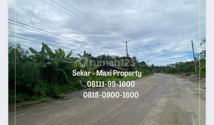 Tanah Maja Raya Cocok Untuk Developer Bangun Rumah Murah 3