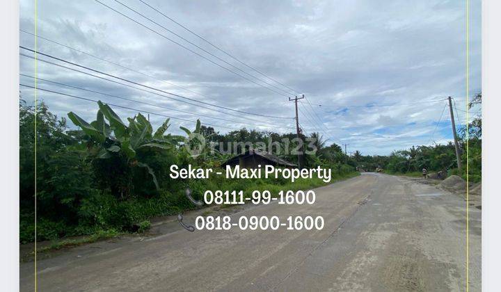 Tanah Maja Raya Cocok Untuk Developer Bangun Rumah Murah 4