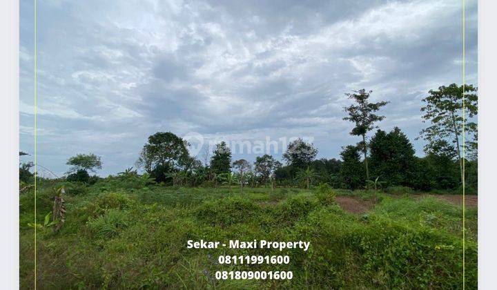 Tanah Maja Zona Industri Lokasi Strategis Harga Murah 3