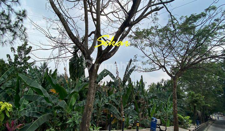 Tanah Muncul Pinggir Jalan Cocok Buat Restaurant, Pemancingan,dll 5