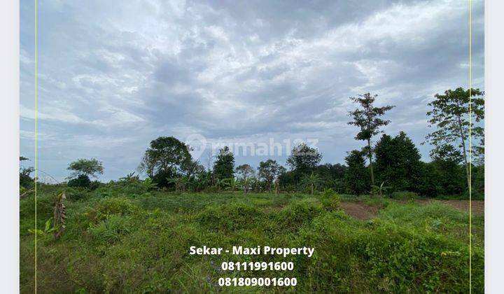 Tanah Maja Zona Industri Cocok Bangun Kawasan Pergudangan 1