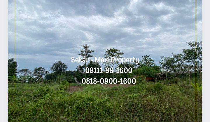 Tanah Maja Zona Industri Cocok Bangun Kawasan Pergudangan 8