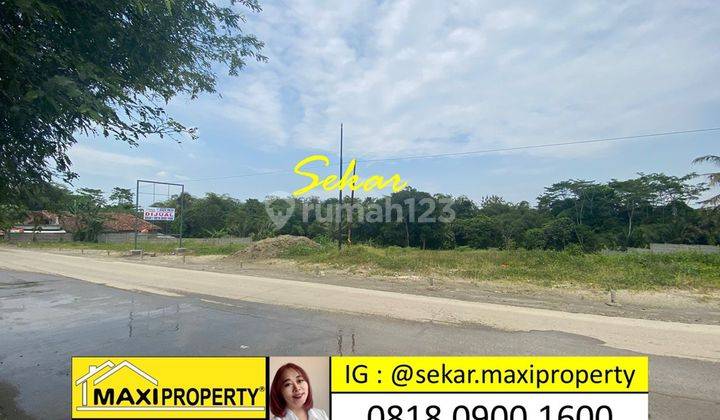 Jual Murah Serius Jual Tanah Maja Lokasi Super Strategis 1