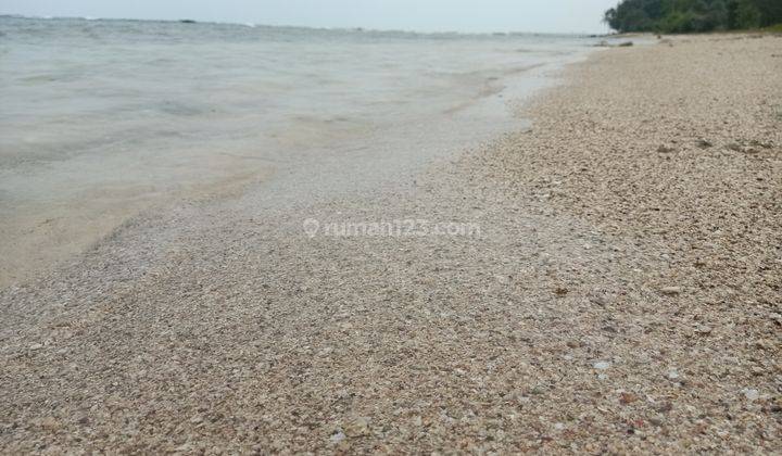 Murah Meriah Tanah Carita Pinggir Pantai Utk Bangun Resort Hotel 1