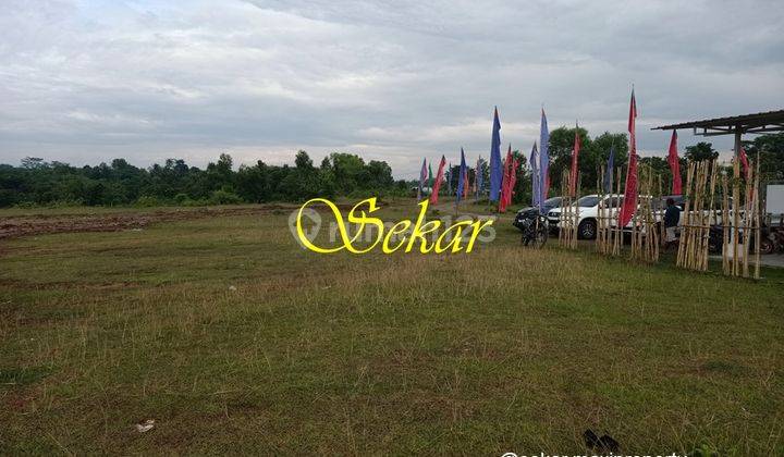 Ayo Tanya  Dulu Lahan Pemakamam Lestari Memorial Park Tangerang 1