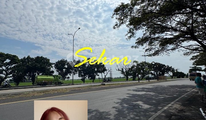 Tanah Komersial Pemalang Dekat Sekali Dengan Pintu Tol Tanah Komersial Pemalang Dekat Sekali Dengan Pintu Tol