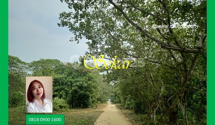 Carita Beach Land Wide Long Beach Suitable for Building a Resort Carita Beach Land Wide Long Beach Suitable for Building a Resort