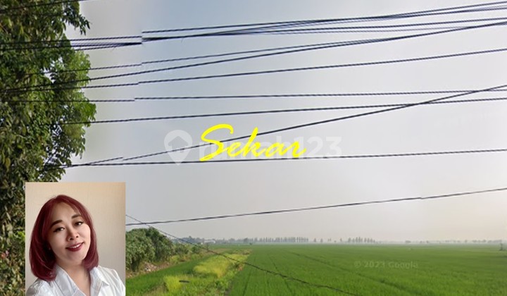 Tanah Komersial Pemalang Lokasi Super Strategis Dekat Pintu Tol