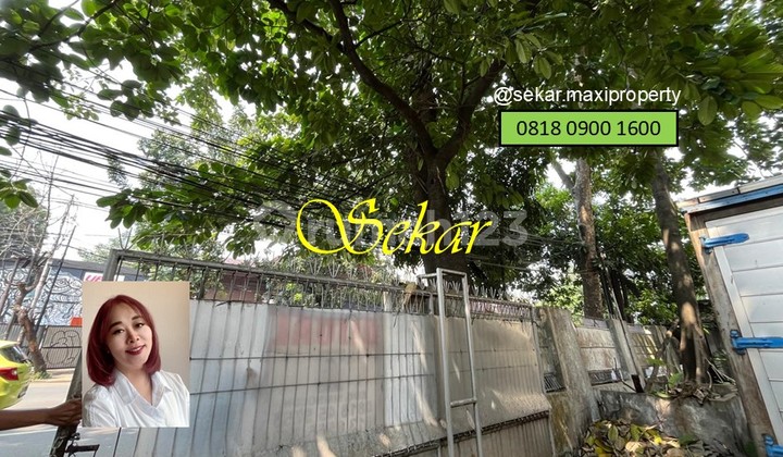 Tanah Komersial Jalan Deplu Bintaro Lokasi Strategis Akses Mudah Tanah Komersial Jalan Deplu Bintaro Lokasi Strategis Akses Mudah