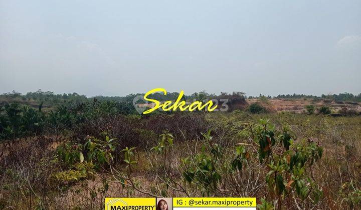 Tanah Labuan Serang Banten Cocok Buat Perumahaan Murah  2