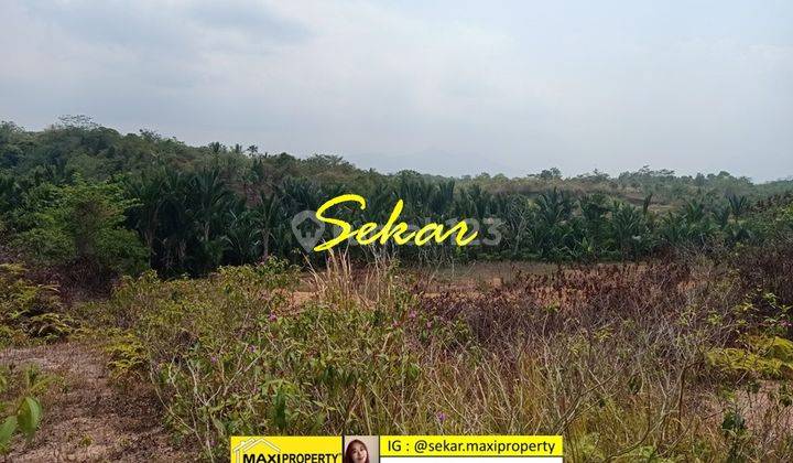 Tanah Labuan Dekat Pantai Carita Lokasi Strategis Akses Mudah 2