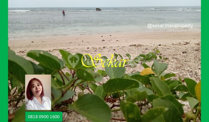 Carita Beach Land Wide Long Beach Suitable for Building a Resort Carita Beach Land Wide Long Beach Suitable for Building a Resort
