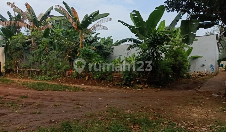 Cheap land in BSD, suitable for rent. Land Cheap land in BSD, suitable for rent. Land