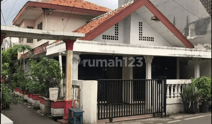 White Champaca House Flood-Free Comfortable Location White Champaca House Flood-Free Comfortable Location