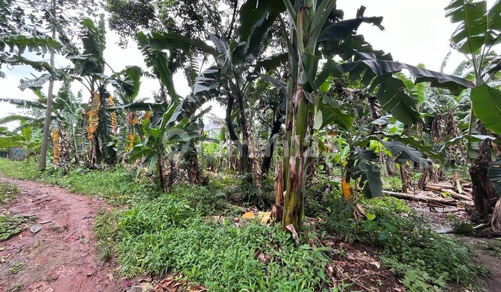 Tanah Lokasi Jatiasih Bekasi Tanah Lokasi Jatiasih Bekasi