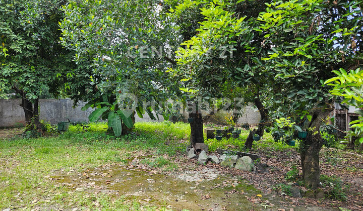 Dijual Tanah di Jalan Raya Cipayung Jakarta Timur