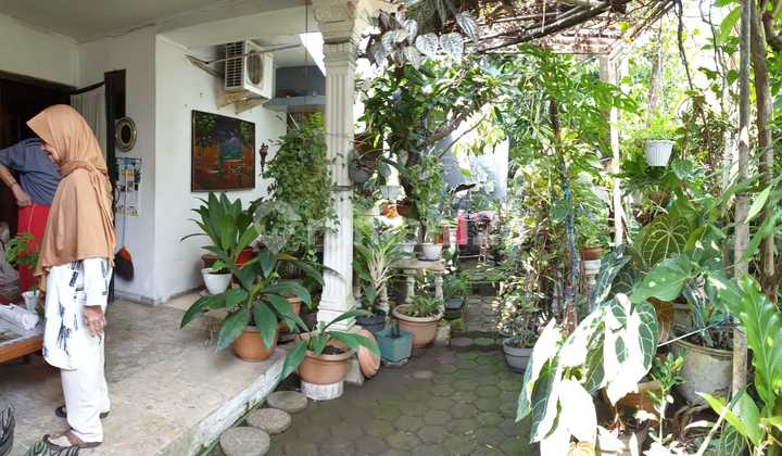 DIJUAL RUMAH LAMA HITUNG TANAH