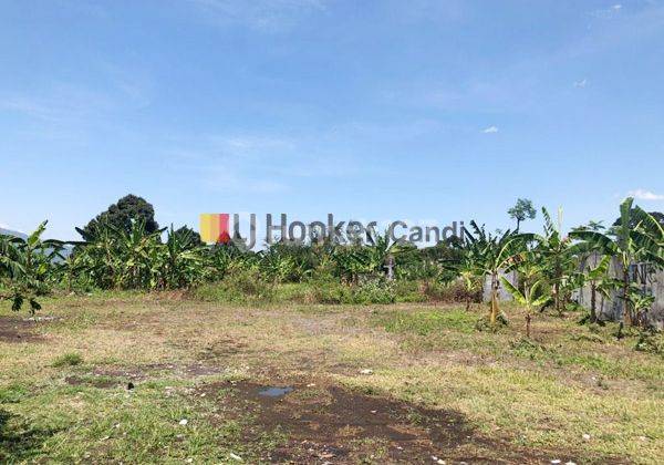 Kavling Dijual Lokasi Strategis di Bawen Semarang Salatiga 1