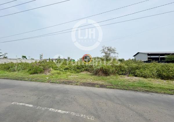 Plot in Kaliwungu, Kendal, Central Java