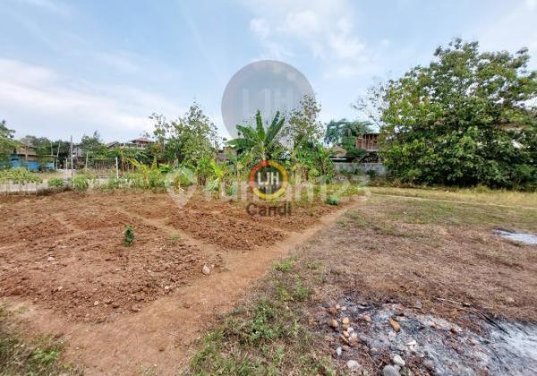 Kavling di Diponegoro Ungaran Jawa Tengah 1