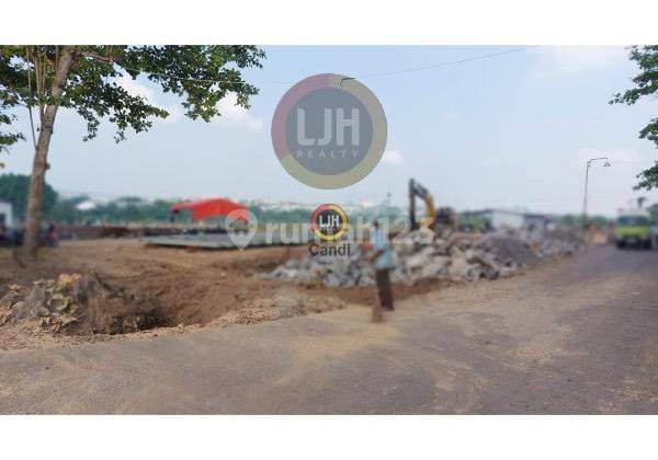 Gudang di Randu Garut Semarang 2