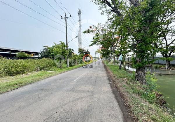 Plot in Kaliwungu, Kendal, Central Java