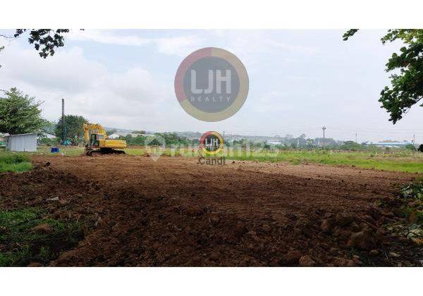 Gudang di Randu Garut Semarang 1