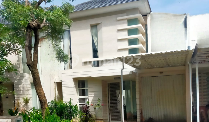 Rumah Palm Beach Minimalis Malibu Beach Furnish Pakuwon City 1