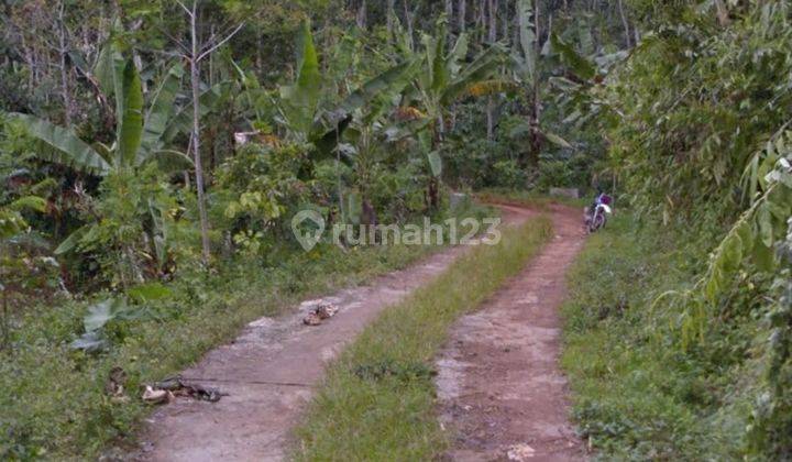 Tanah bagus luas di temanggung jawa tengah 2