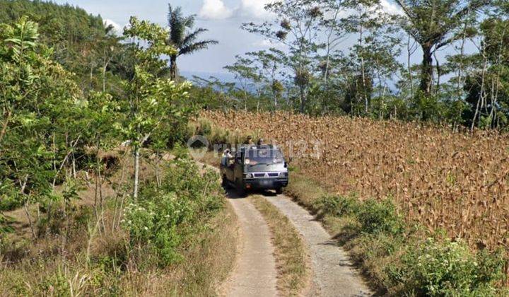 Tanah subur siap tanam di temanggung jawa tengah 2