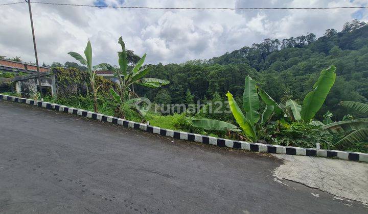 Tanah Istimewa Untuk Villa Di Tawangmangu Solo 1