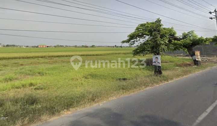 Tanah Strategis Pinggir Jalan Raya Manang Baki Solo Tanah Strategis Pinggir Jalan Raya Manang Baki Solo
