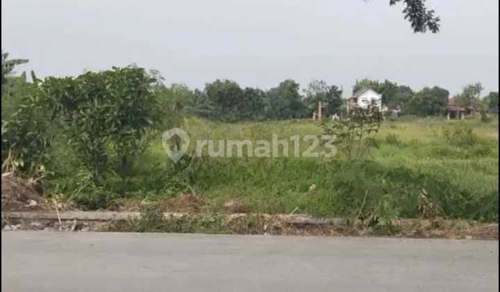 Tanah Zona Merah Untuk Industri di Jalan Raya Wonosari Pakis Klaten