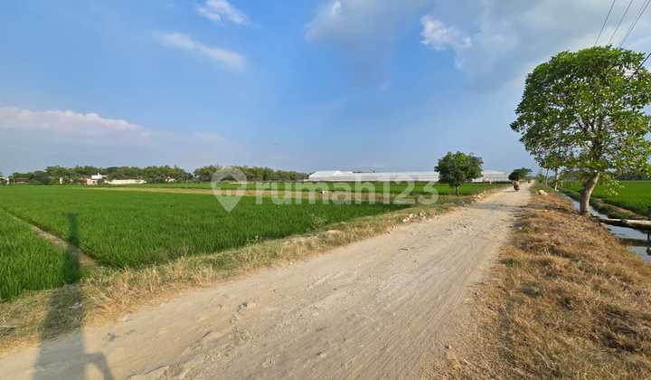 Tanah Sawah Bisa dikeringkan Zona Industri di Parangjoro Grogol Sukoharjo Tanah Sawah Bisa dikeringkan Zona Industri di Parangjoro Grogol Sukoharjo
