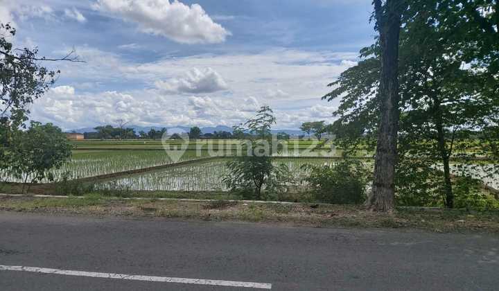 Tanah Kering Siap Bangun di Bendosari Jalan Raya Solo Sukoharjo Tanah Kering Siap Bangun di Bendosari Jalan Raya Solo Sukoharjo