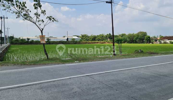 Tanah Zona Merah di Jalan Raya Solo Sukoharjo 2