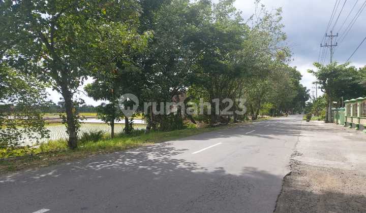 Tanah Kering Siap Bangun di Bendosari Jalan Raya Solo Sukoharjo Tanah Kering Siap Bangun di Bendosari Jalan Raya Solo Sukoharjo