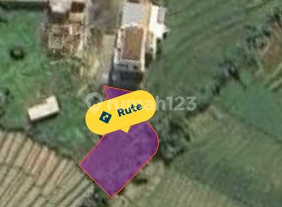 Land 500 Meters From Mengening Beach. Cemagi